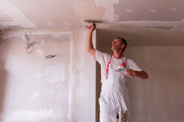 Best Drywall Crack Repair  in Willowick, OH